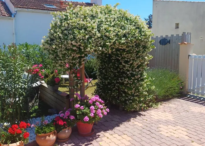 Ma Chaumiere Lejlighed Saint-Pierre-d'Oleron